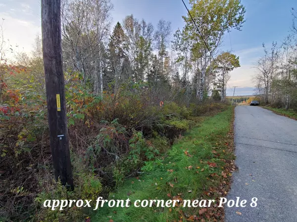 East Machias, ME 04630,Lot 55-3 Wiswell Hill RD