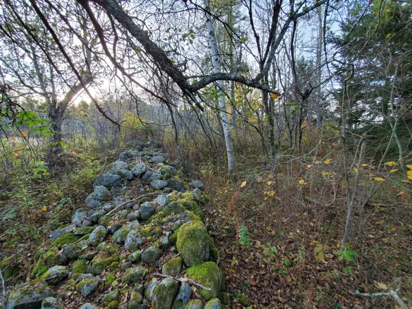 East Machias, ME 04630,Lot 55-3 Wiswell Hill RD