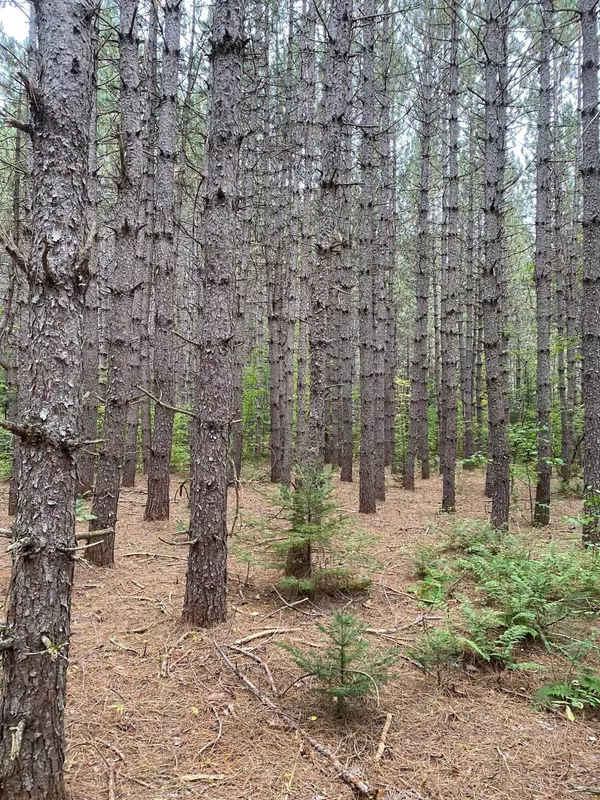 Norridgewock, ME 04957,M25 L6 Old School House RD