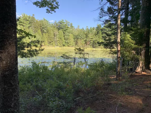 Mount Desert, ME 04660,Lot A Lakeside Road