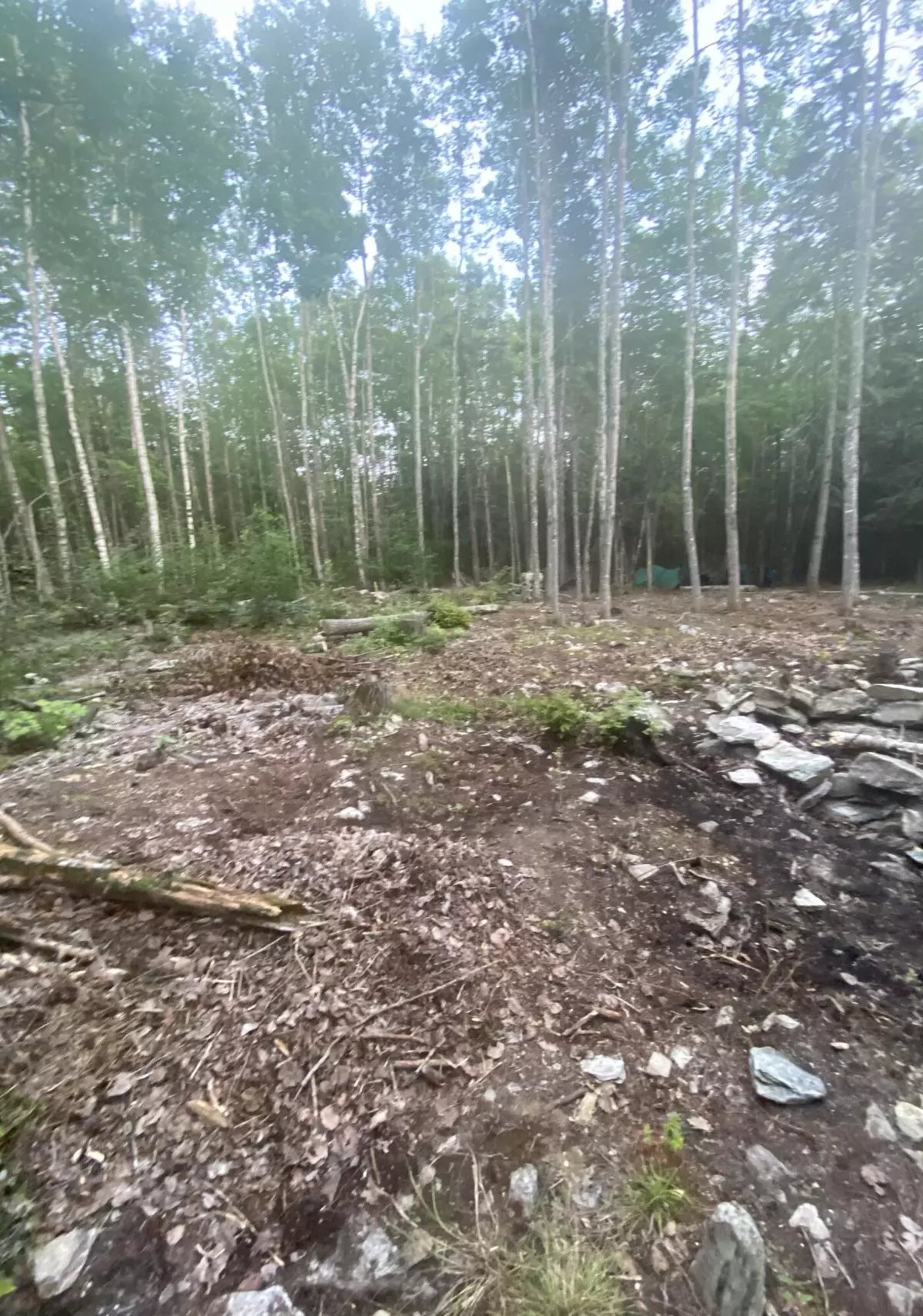 Glenburn, ME 04401,TBD Poplar RD