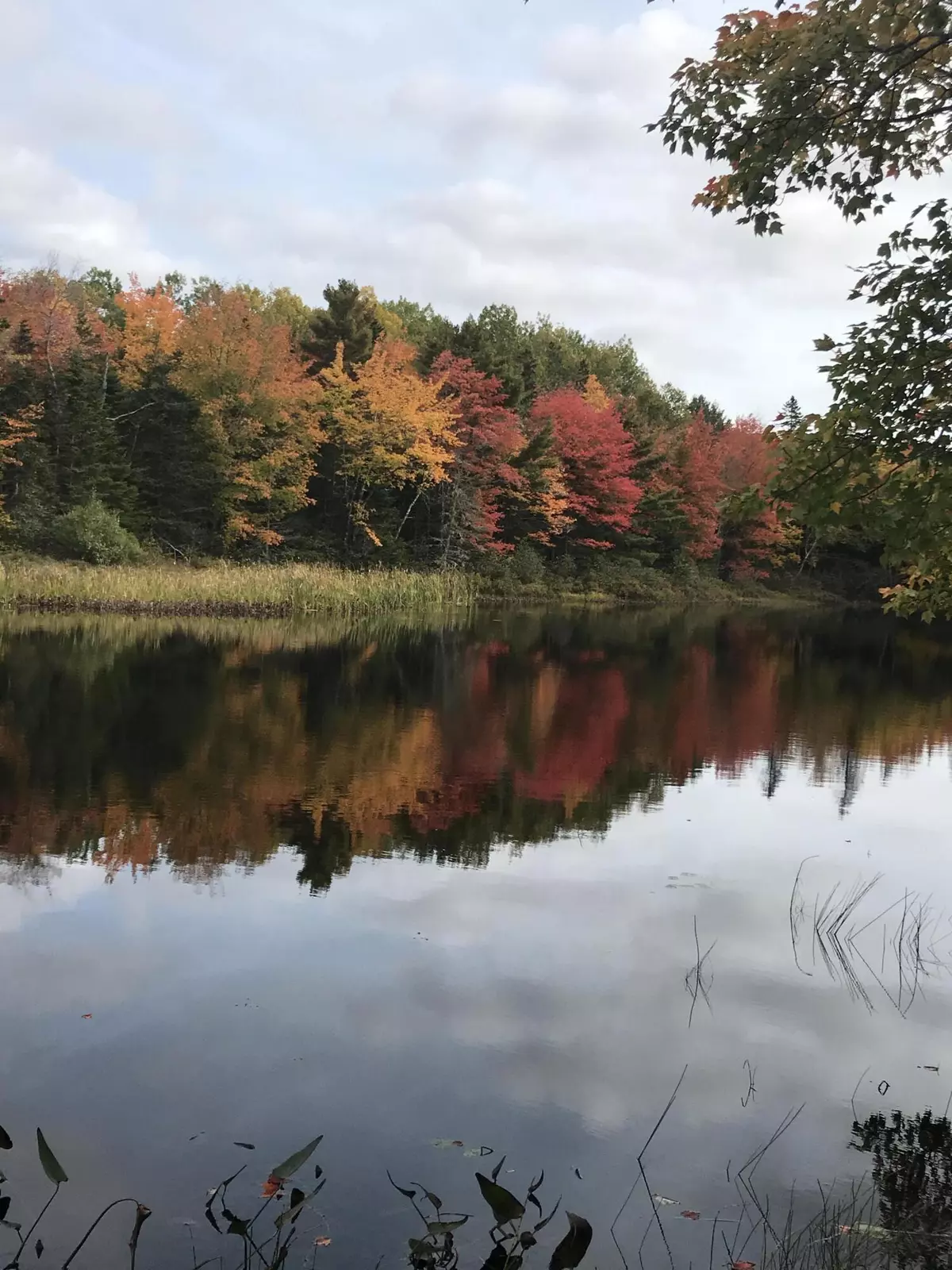 Pembroke, ME 04666,10 Hope LN