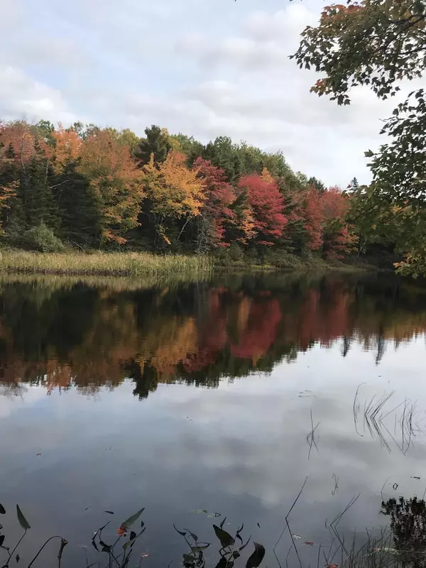 10 Hope LN, Pembroke, ME 04666