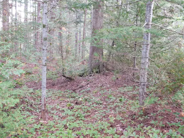 Pembroke, ME 04666,10 Hope LN