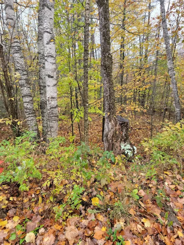 Liberty, ME 04949,0 Plummer RD