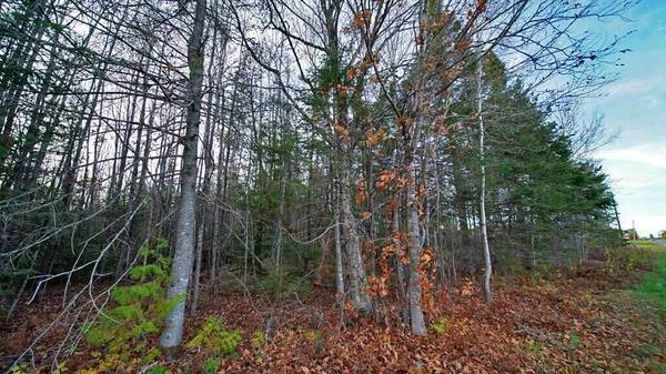 Littleton, ME 04760,Lot 33A Framingham RD