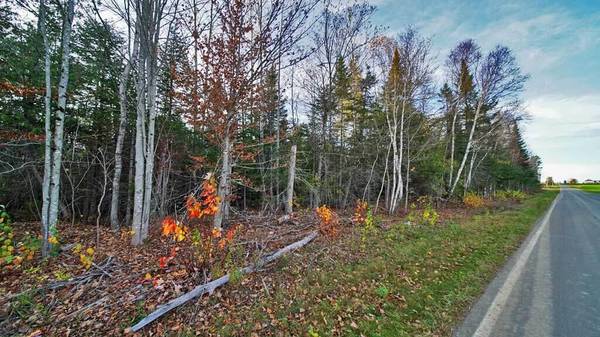 Littleton, ME 04760,Lot 33A Framingham RD