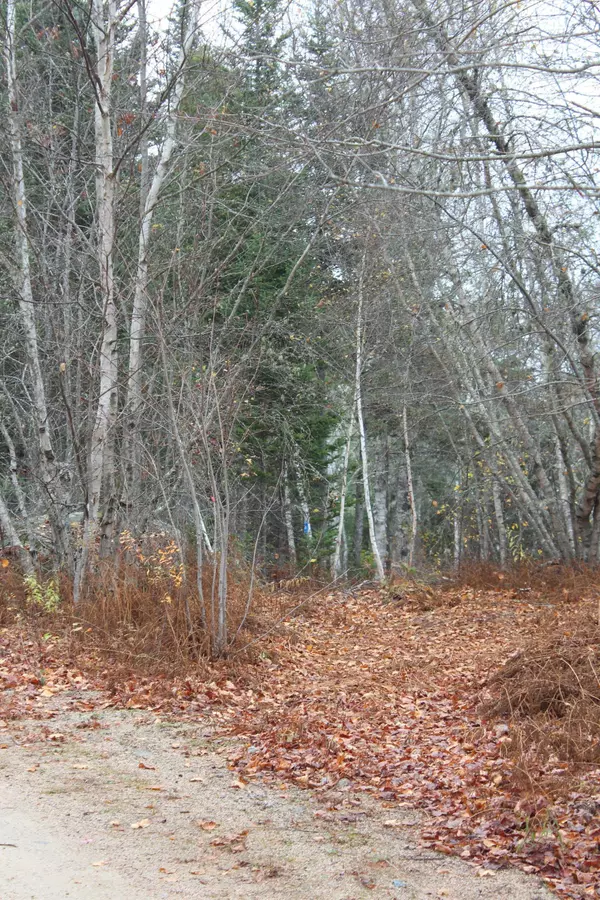 Sedgwick, ME 04676,Lot 6 Otter Cove Lane