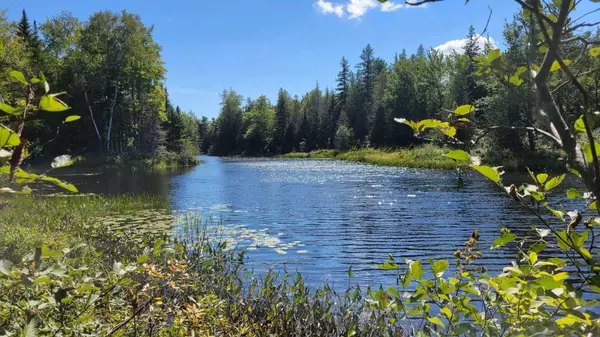 Pembroke, ME 04666,0 Robbinston RIdge RD