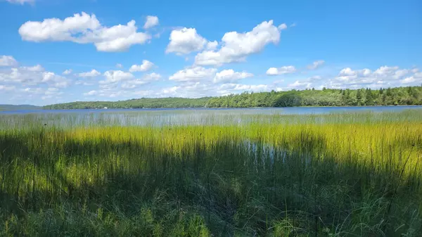 Pembroke, ME 04666,0 Robbinston RIdge RD