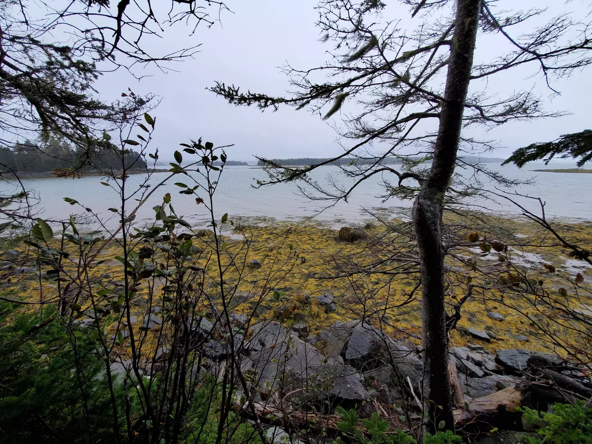 Milbridge, ME 04658,0 Jordan Beach RD