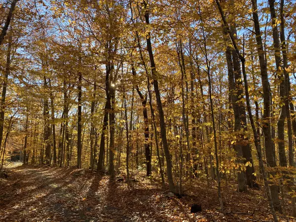 Mount Vernon, ME 04352,3.34 Acres Bearnstow Road