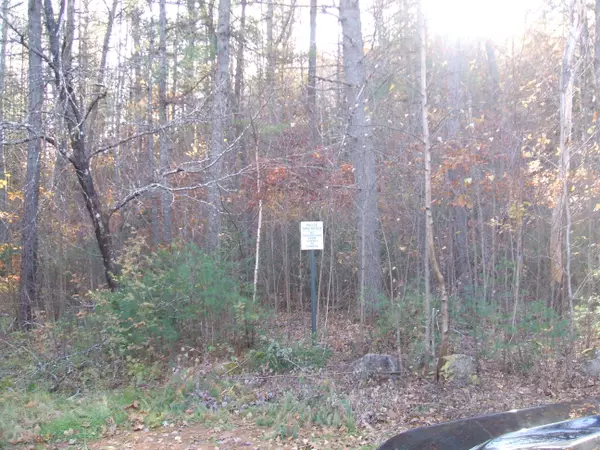 Parsonsfield, ME 04020,0 Federal RD