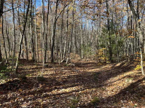 Lyman, ME 04002,0 Poor Farm RD