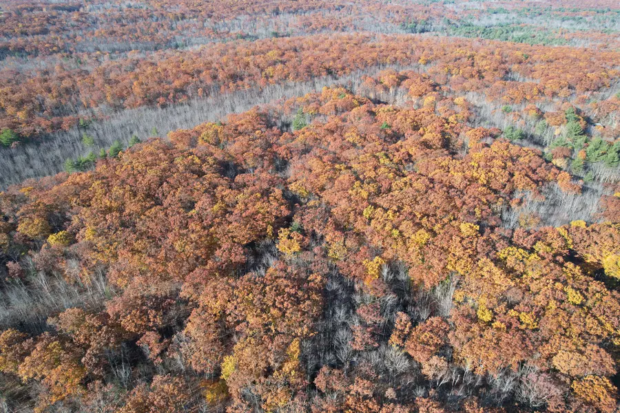 0 Poor Farm RD, Lyman, ME 04002