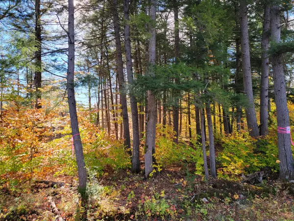 New Portland, ME 04961,M9 L13 Off Middle Rd