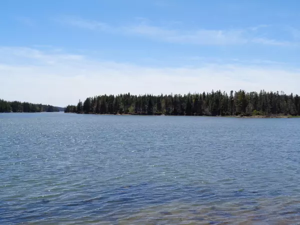 Lots 7 & 8 Blue Heron WAY, Milbridge, ME 04658