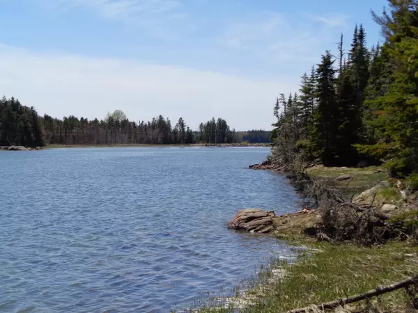 Milbridge, ME 04658,Lots 7 & 8 Blue Heron WAY