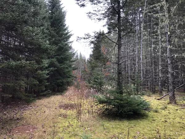 New Sweden, ME 04762,23 Rista RD