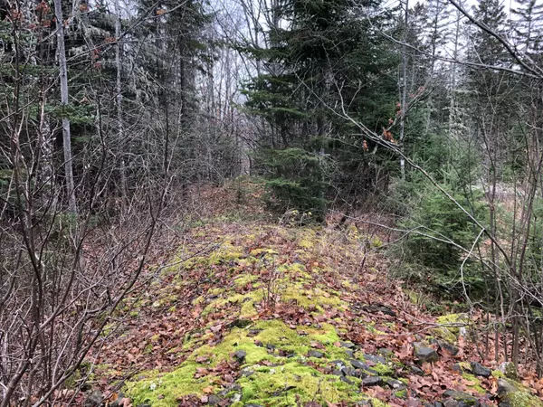 New Sweden, ME 04762,23 Rista RD