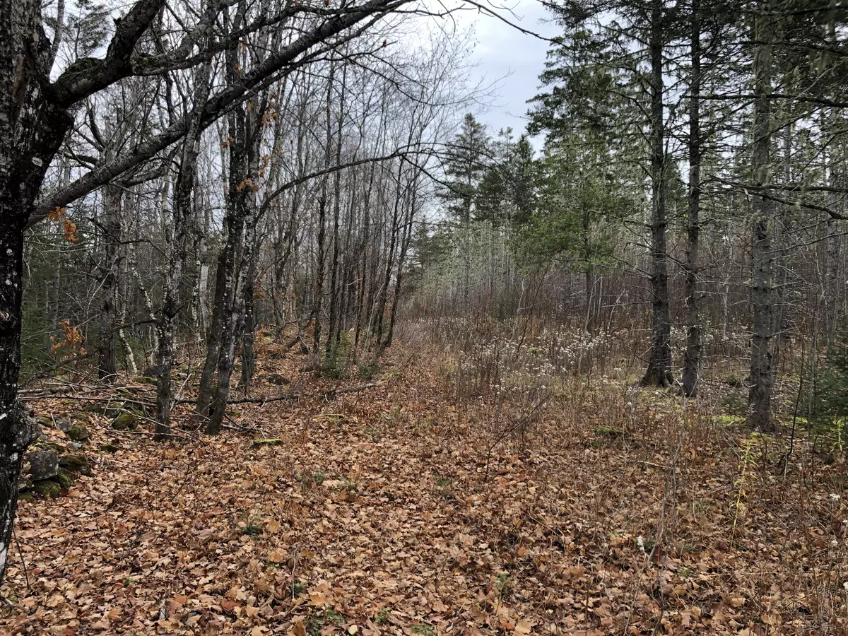 New Sweden, ME 04762,23 Rista RD