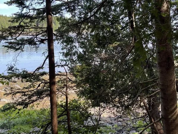 Roque Bluffs, ME 04654,141 North Duck Cove RD