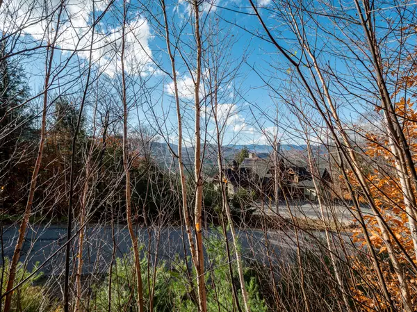 Newry, ME 04261,Lot 30 Headwall DR