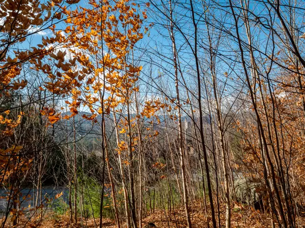 Newry, ME 04261,Lot 30 Headwall DR