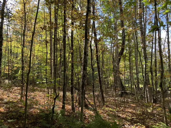 Vienna, ME 04360,Lot 5 Stream Road