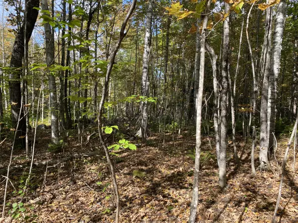 Vienna, ME 04360,Lot 5 Stream Road