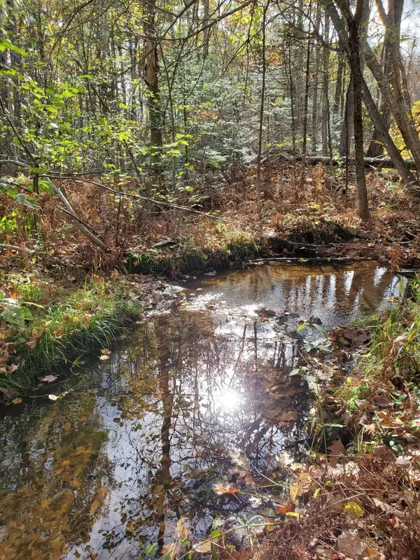 Vienna, ME 04360,8 Trask RD