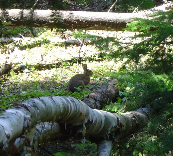 Greenville, ME 04441,27A Scammon RD