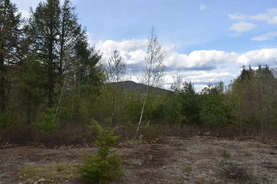 0 Map 014-Lot 005-001Rocky Knoll RD, Denmark, ME 04022