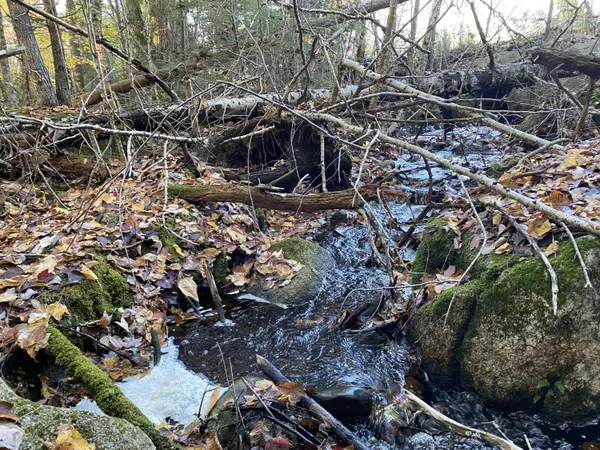 Lakeville, ME 04487,1 Dam Buster RD