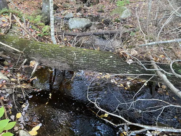 Lakeville, ME 04487,1 Dam Buster RD