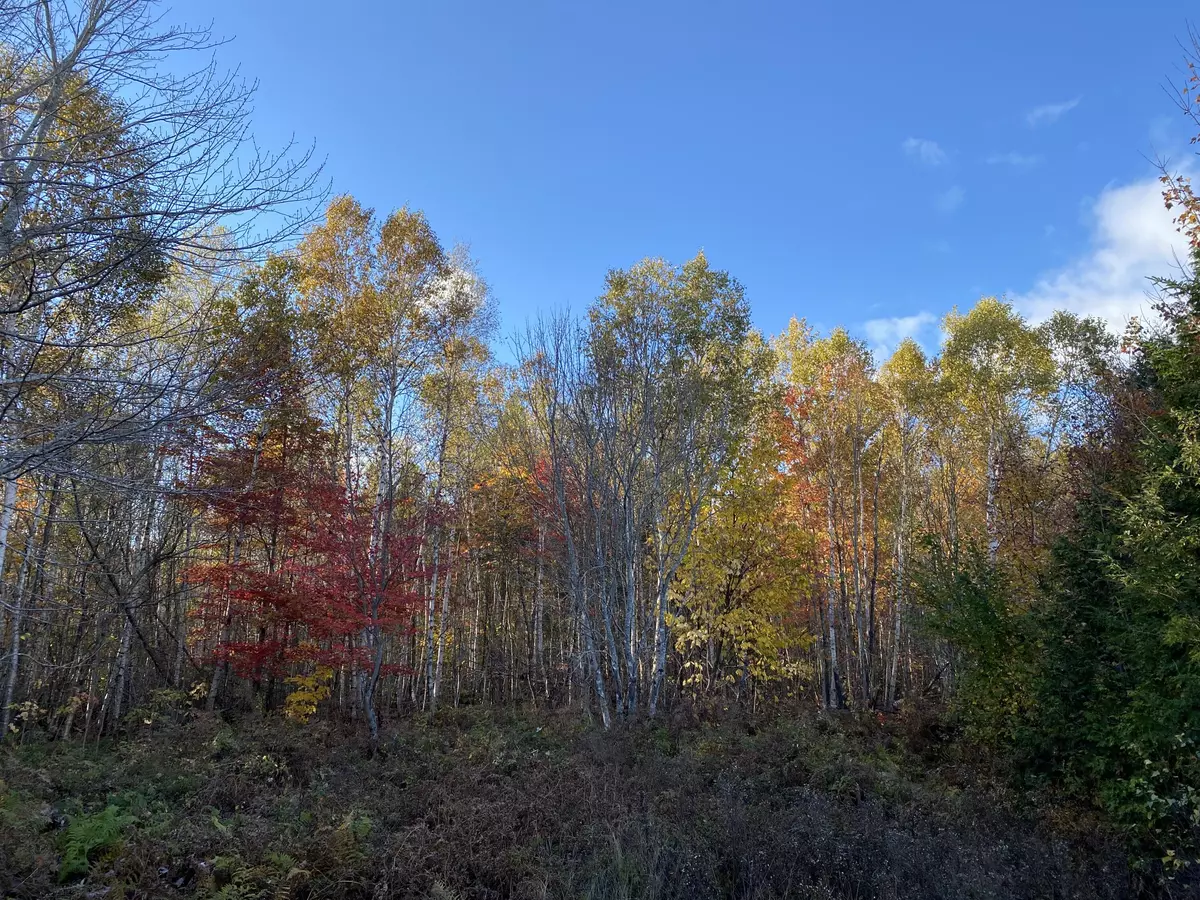 Lakeville, ME 04487,1 Dam Buster RD