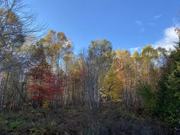 1 Dam Buster RD, Lakeville, ME 04487