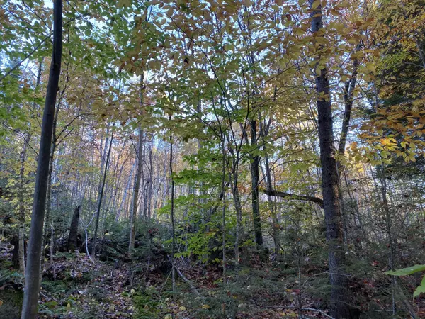 Lakeville, ME 04487,1 Dam Buster RD