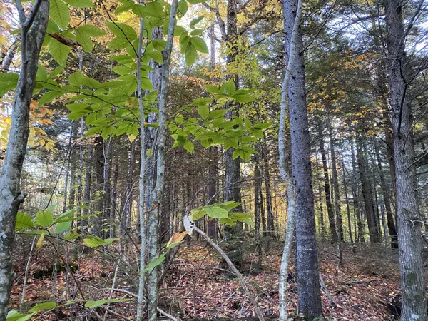 Lakeville, ME 04487,1 Dam Buster RD