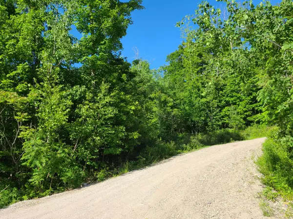 Limerick, ME 04048,lot 7 Parsonsfield RD