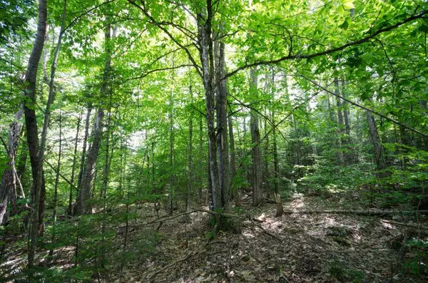 166 W Old Main Road RD, Lowell, ME 04493