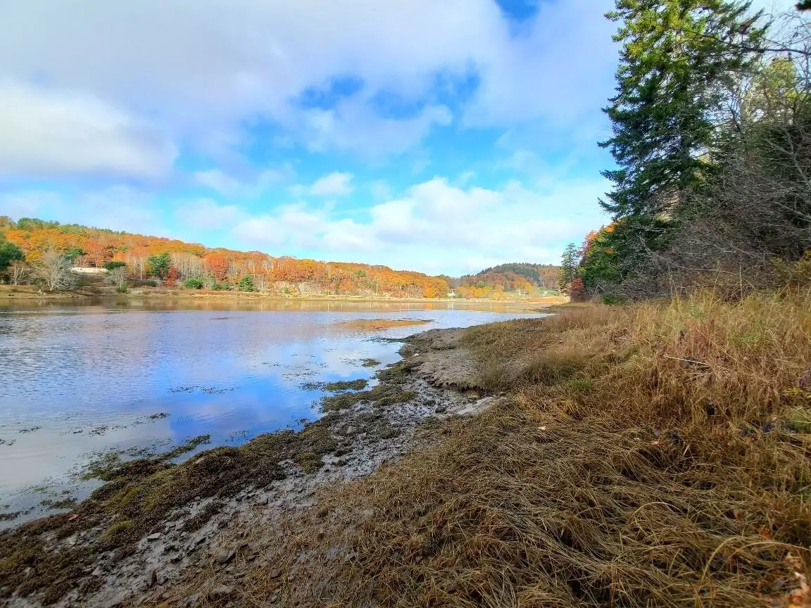 East Machias, ME 04630,100 Wiswell Hill RD