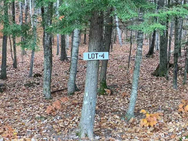Sabattus, ME 04280,Lot 4 Autumn RDG