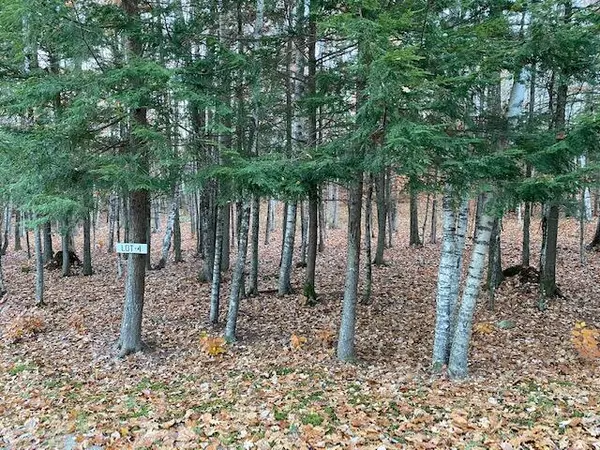 Sabattus, ME 04280,Lot 4 Autumn RDG