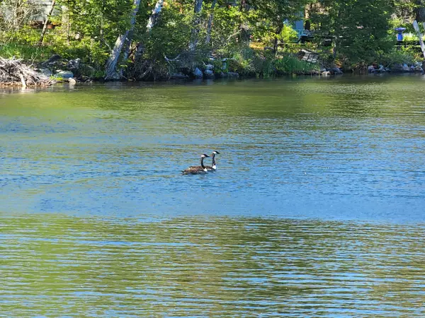 Vienna, ME 04360,368 Kimball Pond RD