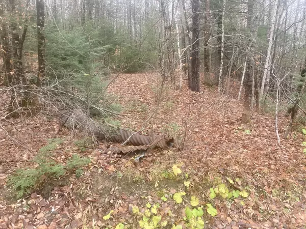 Paris, ME 04281,00 Inman RD
