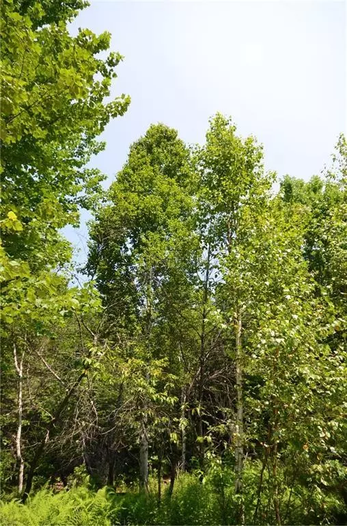 Howland, ME 04448,111&113 N Howland RD