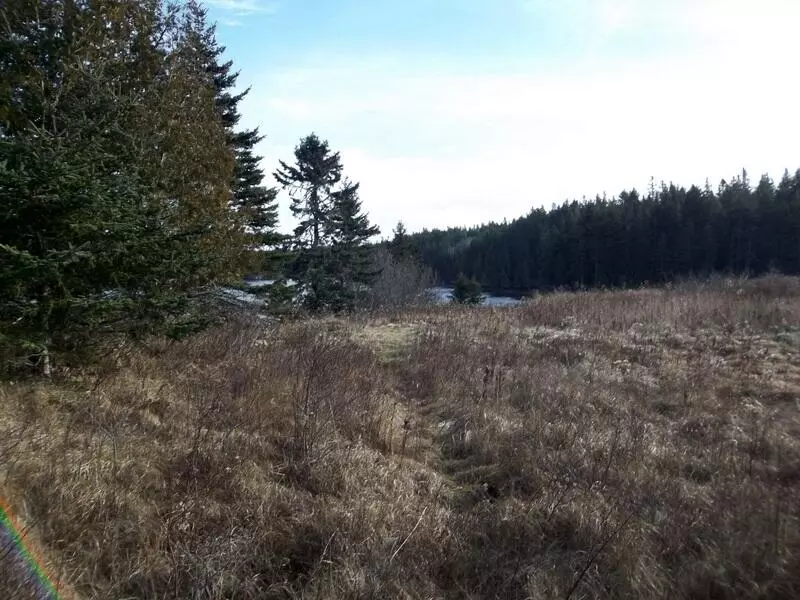 Trescott Twp, ME 04652,x Rt 191