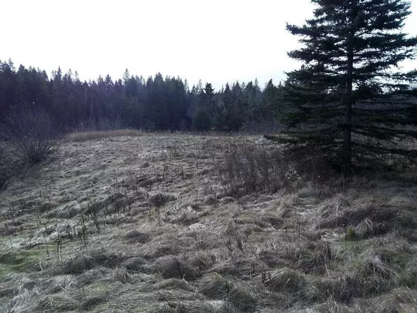 Trescott Twp, ME 04652,x Rt 191