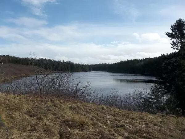 Trescott Twp, ME 04652,x Rt 191